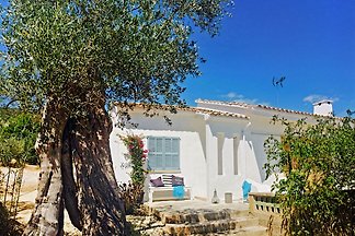 Traumfinca im Olivenhain