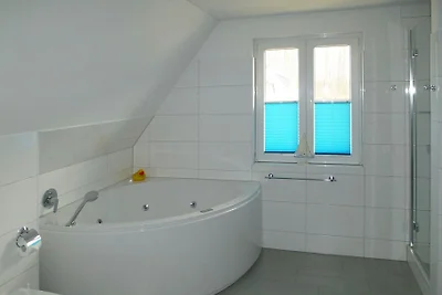 Vecchio orso marino - Sogno sotto la paglia