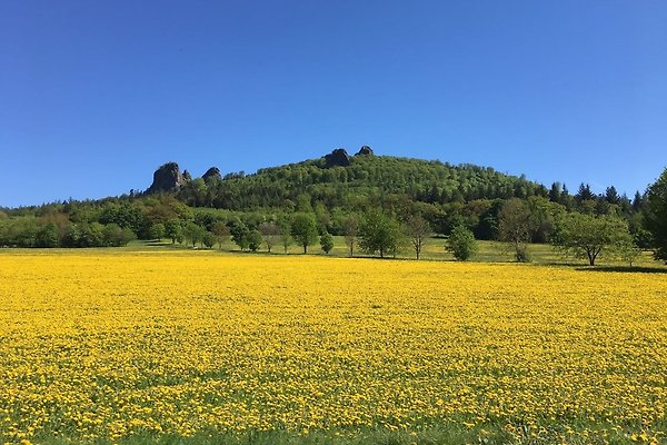 Frau G. Rüther Frau G. Rüther
