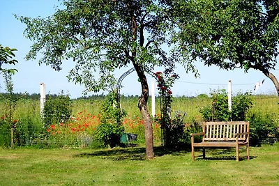 Thomsdorf 2