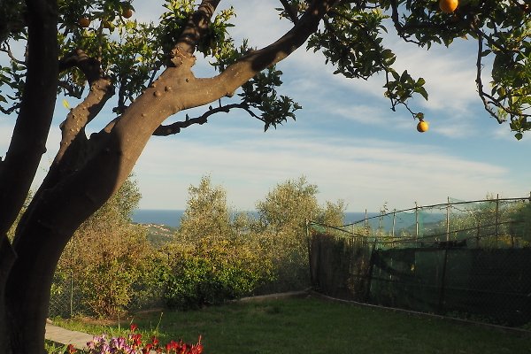 Ferienwohnung Diano Arentino