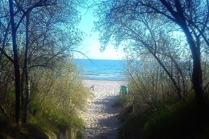 Widok na Morze Bałtyckie
