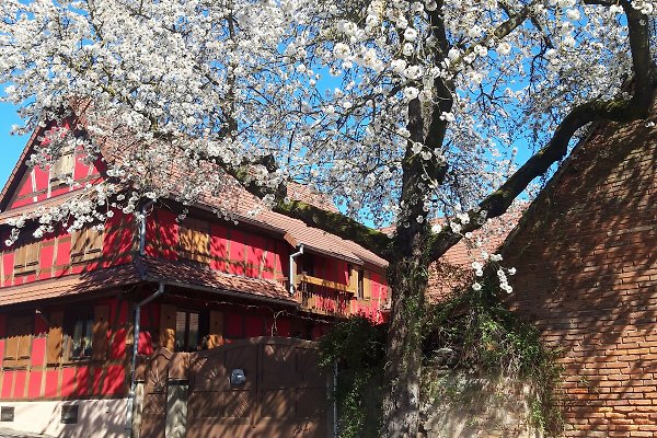 Ferienhaus Olwisheim