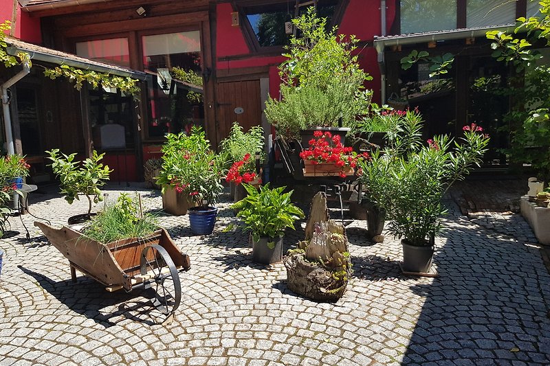 Garten mit Pflanzen, Blumen und Gartenmöbeln im Freien.