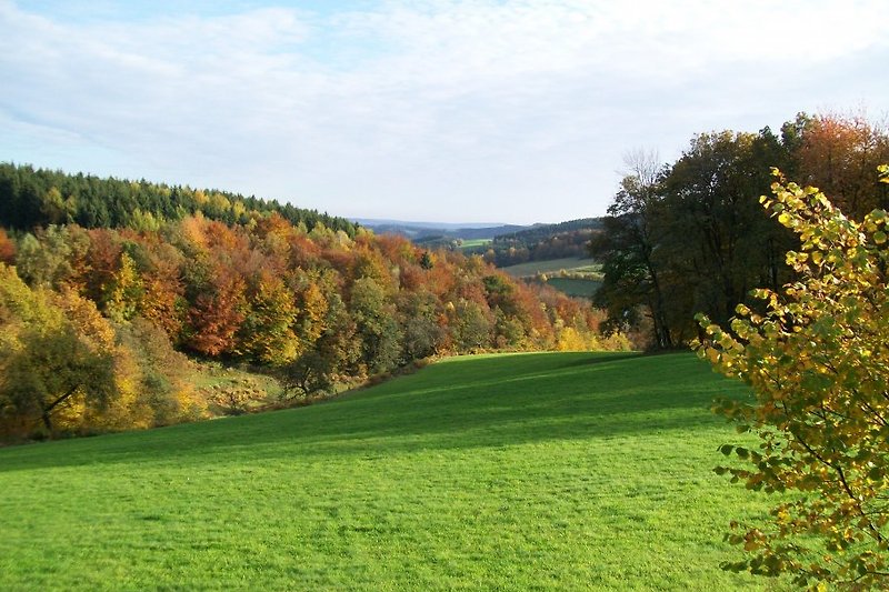 und das Morsbacher Tal in allen Herbstfarben