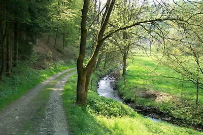 WALDHÄUSCHEN Morsbach