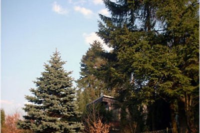 Waldhäuschen