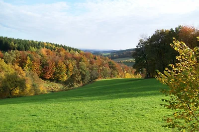 WALDHÄUSCHEN Morsbach