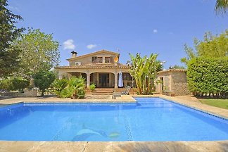 Finca Tirana - Llubi