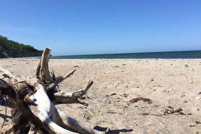 Prirodna plaža Lancken, ostaci iz mora