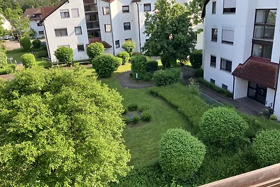 Lago e natura: Iris, il fiore delle paludi