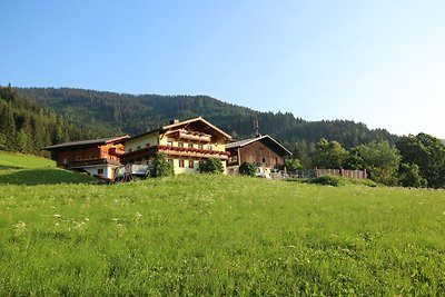 Appartement im Holzblockhaus