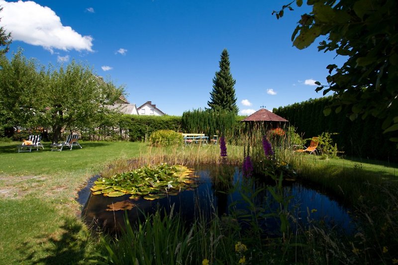 Im und am Gartenteich ist viel los