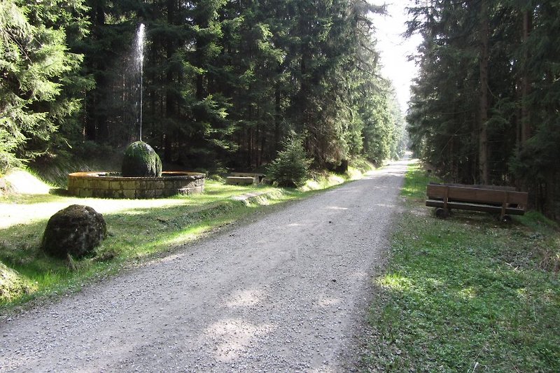 Viele Highlight sind von Alexandersbad aus zu Fuß und mit dem Bike erreichbar