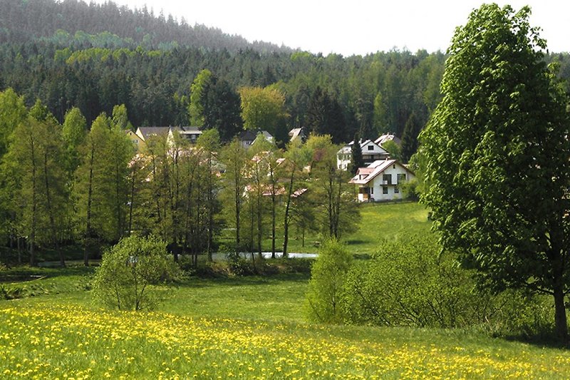 Alexandersbad ist umgeben von Wald und Felder