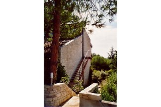 Villa Ola & Pit - powierzchnia Garden