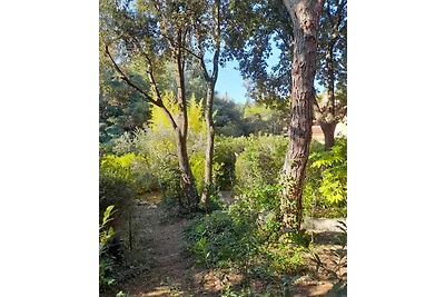 Villa Ola & pit zona a sud