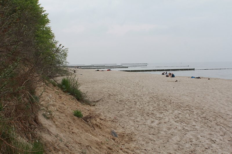 Küste Ostsee Umgebung