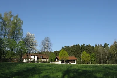 Casa di vacanza Schuttholz-Haus Victoria