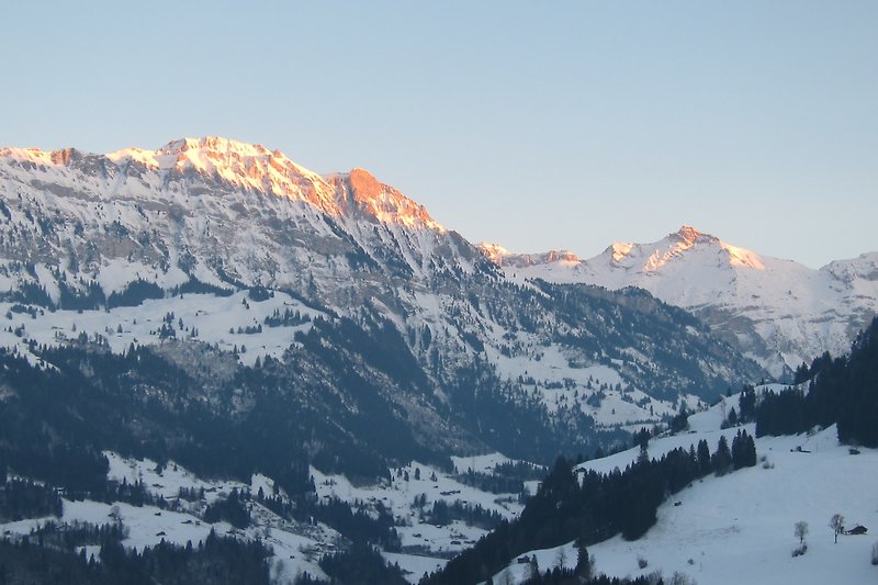 Winter View