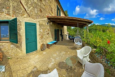 Casa vista