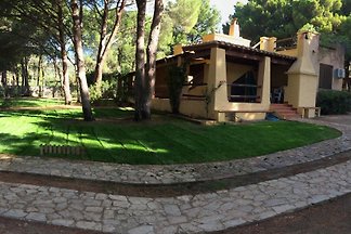 SUN VILLA, VILLASIMIUS (CA)