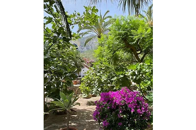Villa Jaguar