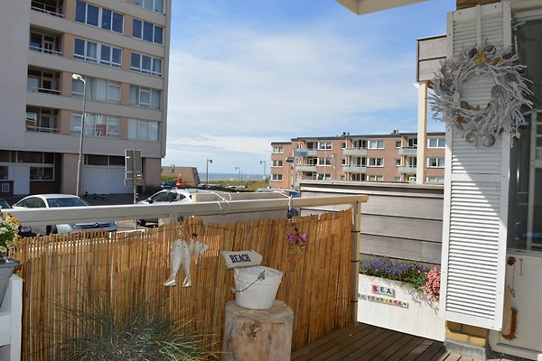 Ferienhaus Egmond aan Zee