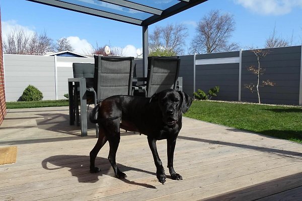 Ferienhaus Dornumersiel