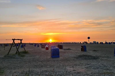 Ferienhaus Leuchtqualle