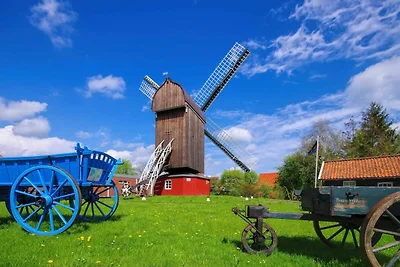 Maison de vacances Vacances relaxation Dornum