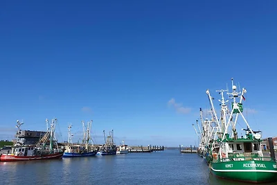 Ferienhaus Leuchtqualle