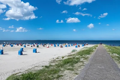 Ferienhaus Lütje Hörn