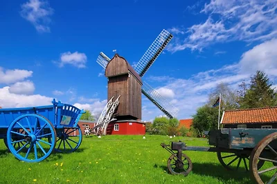 Ferienwohnung Krabbe