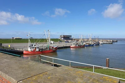 Ferienhaus Leuchtqualle