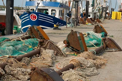 Vakantieappartement Gezinsvakantie Dornum