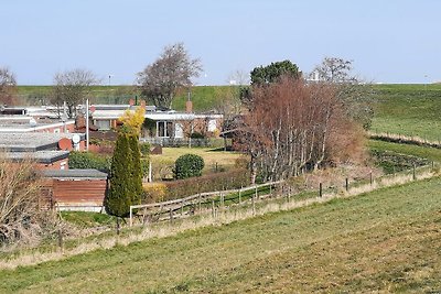 Vakantiehuis Ontspannende vakantie Dornum