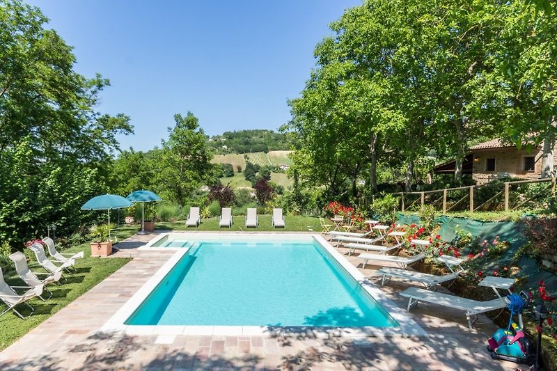 Pool and Garden