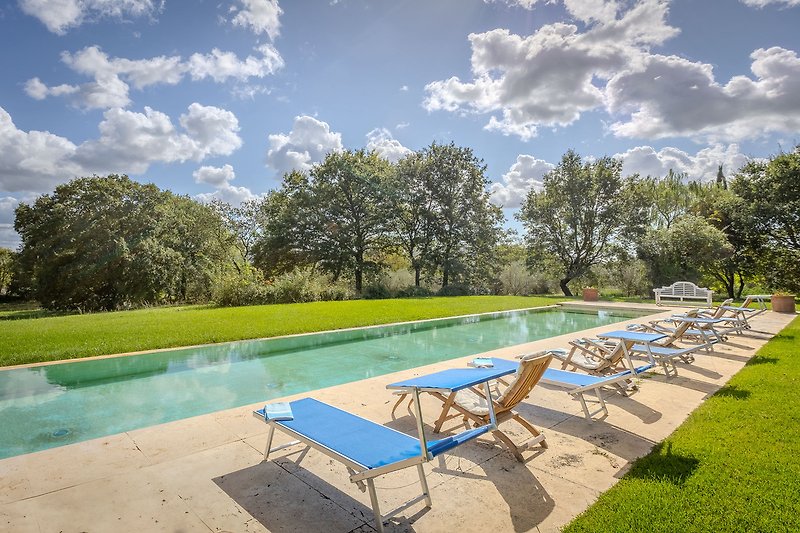 Luxuriöser Pool mit Liegestühlen, umgeben von üppigem Grün.