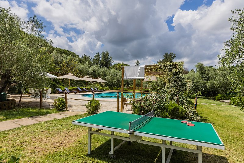 Ping pong Villa con piscina in affitto Marche perfetta per famiglie