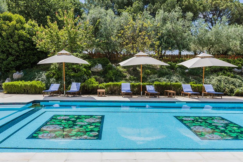Una piscina all'aperto circondata da piante, con mobili da esterno e una vista mozzafiato sul cielo azzurro e l'acqua.