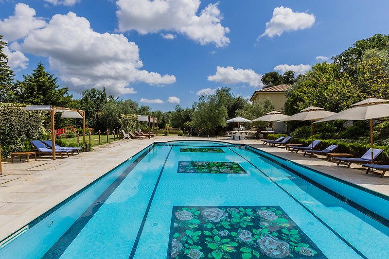 Una piscina all'aperto circondata da piante, con mobili da esterno e una vista mozzafiato sul cielo azzurro e l'acqua.