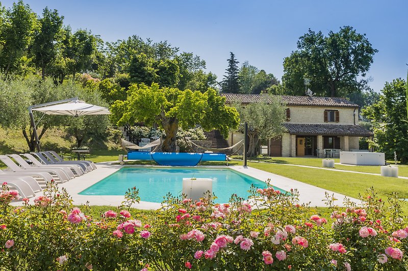 Una vista panoramica con piscina, giardino e mobili da esterno.