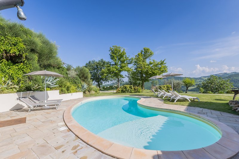 Una vista mozzafiato sulla piscina, circondata da un lussureggiante giardino.