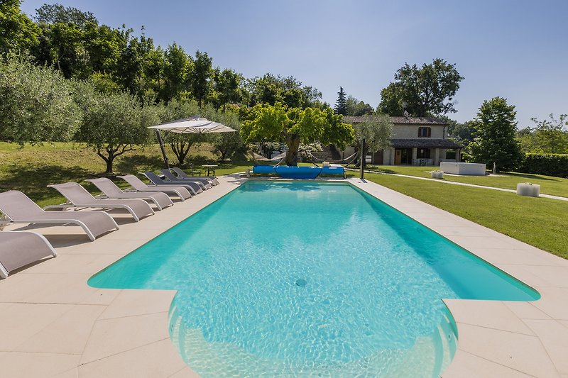 Una piscina azzurra circondata da piante e mobili da esterno.