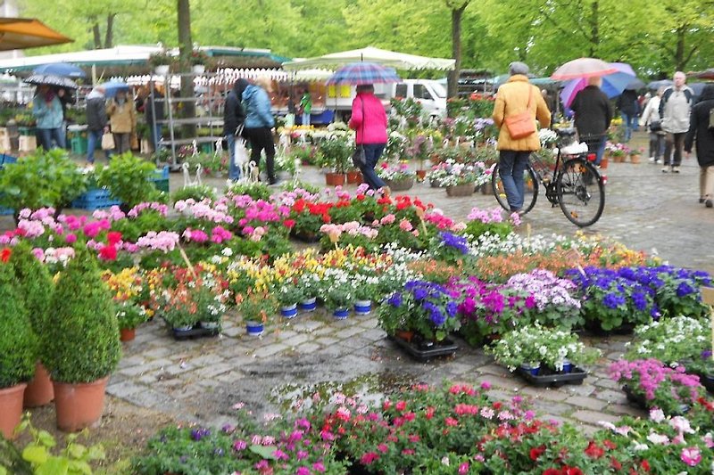 Ein bunter Marktplatz , auch beim Blumengießen von oben