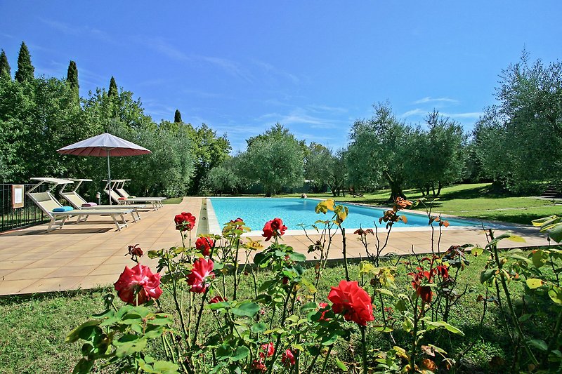Una piscina circondata da fiori, alberi e un cielo azzurro.