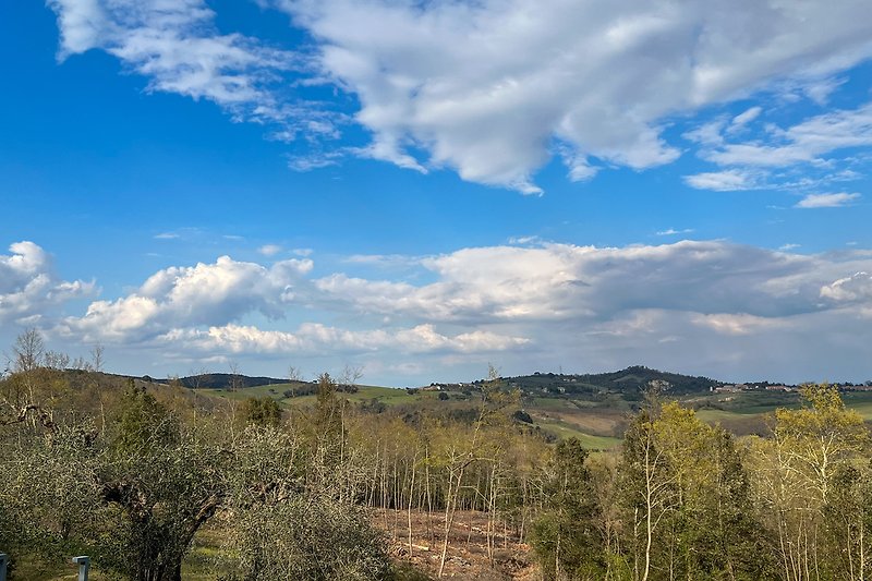 Una vista panoramica con nuvole bianche, prati verdi e una strada di campagna.