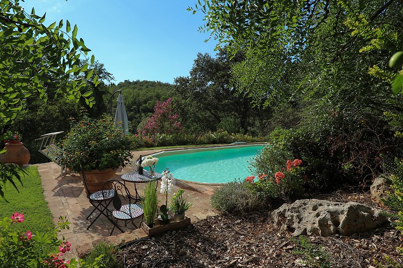 Una piscina circondata da piante, mobili da esterno e un cielo sereno.