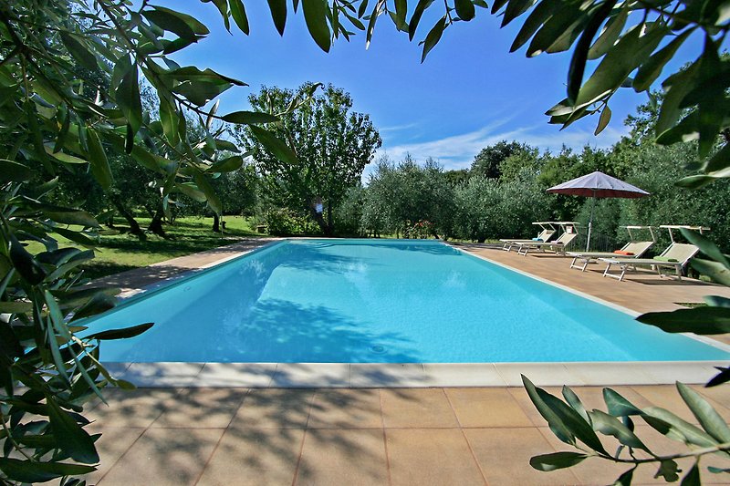 Una piscina azzurra circondata da alberi e piante, con mobili da esterno per il relax e il divertimento.
